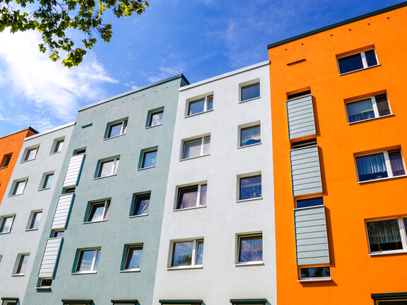 System ochrony antykorozyjnej elementów żelbetowych i spękanych tynków Dekoral Professional